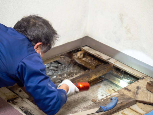 Best Mold Testing  in Clinton, AR