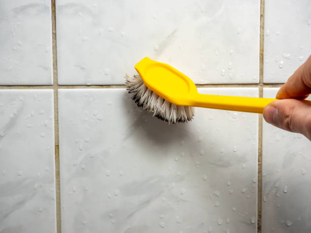 Best Residential Mold Removal  in Clinton, AR