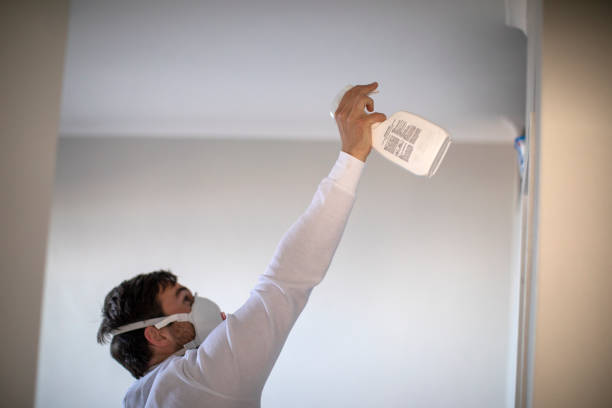 Best Office Mold Removal Services  in Clinton, AR