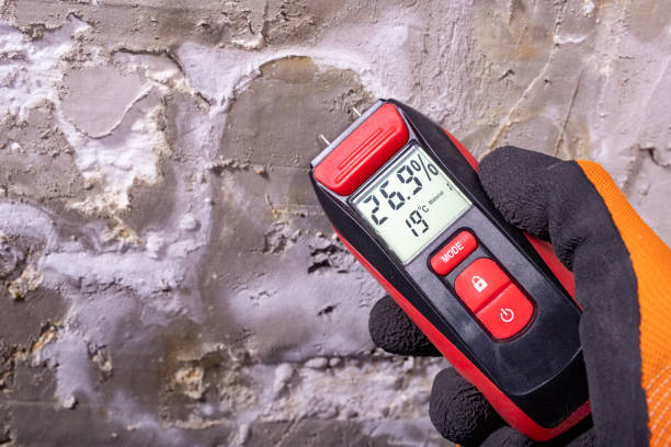 Best Crawl Space Mold Removal  in Clinton, AR